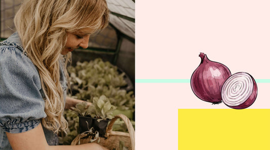 Getting Back in to the garden for spring