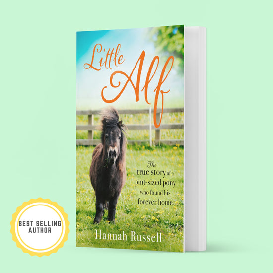 Little Alf - True story of a pint sized pony image 0