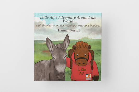 Little Alf's adventure around the world Book image 0